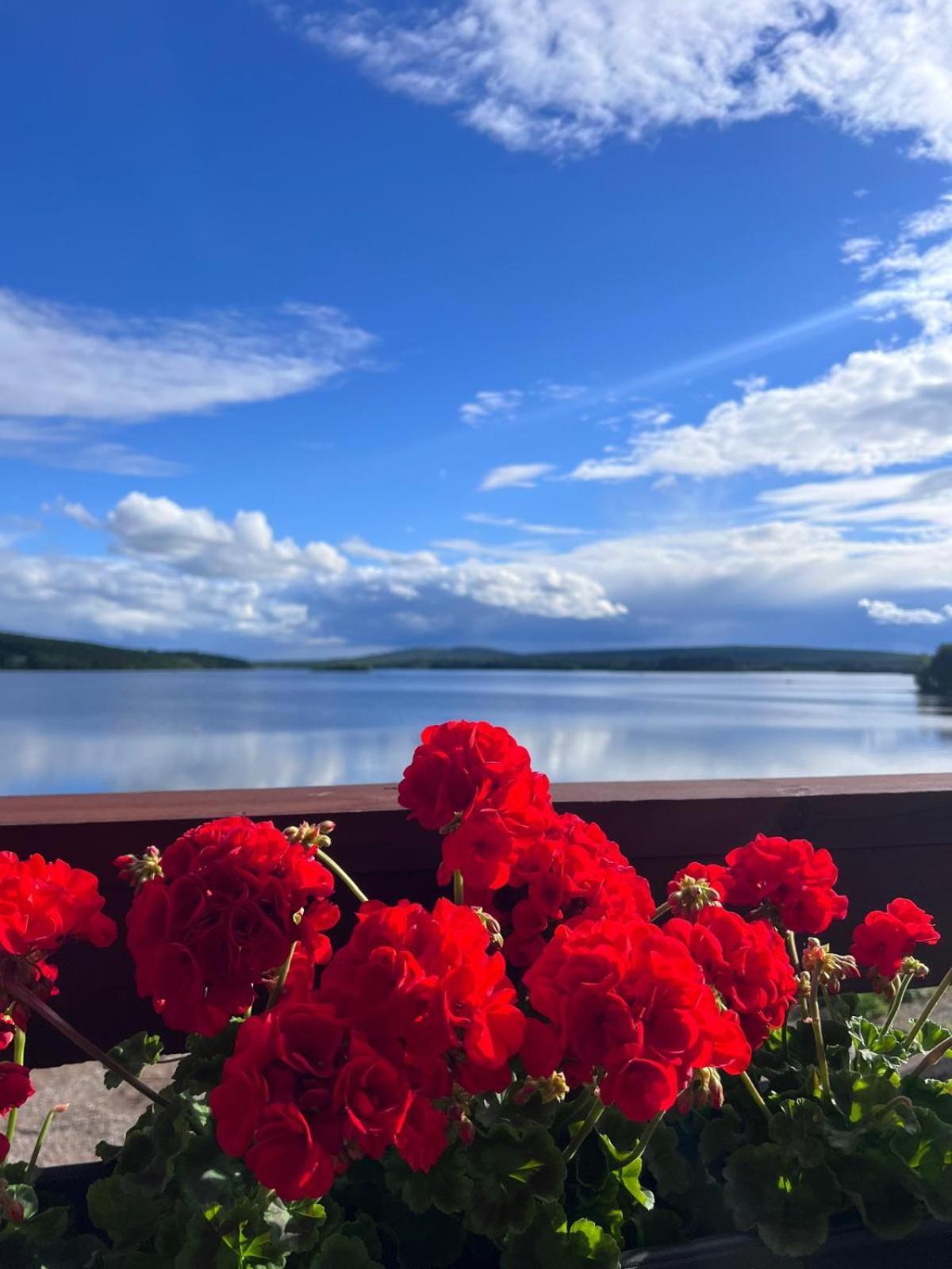 Jauri Resort Kemijärvi Exteriör bild